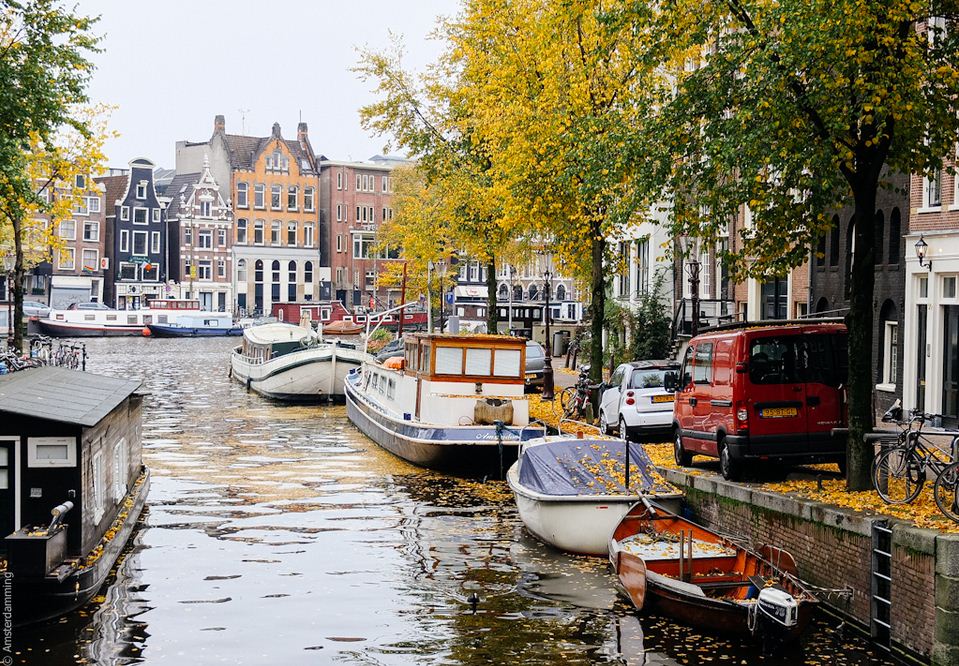 autumn,amsterdam blog,amsterdam travel blog,amsterdam travel guide blog,amsterdam city guide
