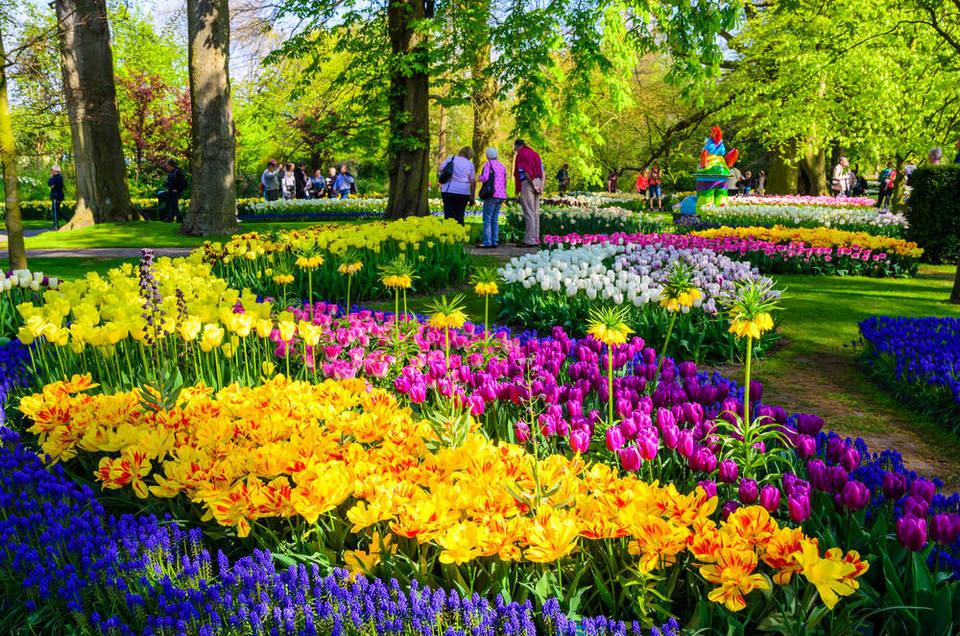 flower-power-where-to-go-for-spring-in-amsterdam