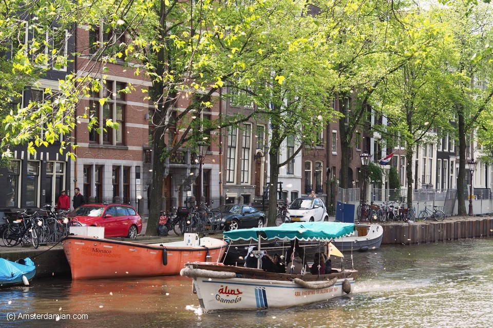 summer amsterdam blog,amsterdam travel blog,amsterdam travel guide blog,amsterdam city guide