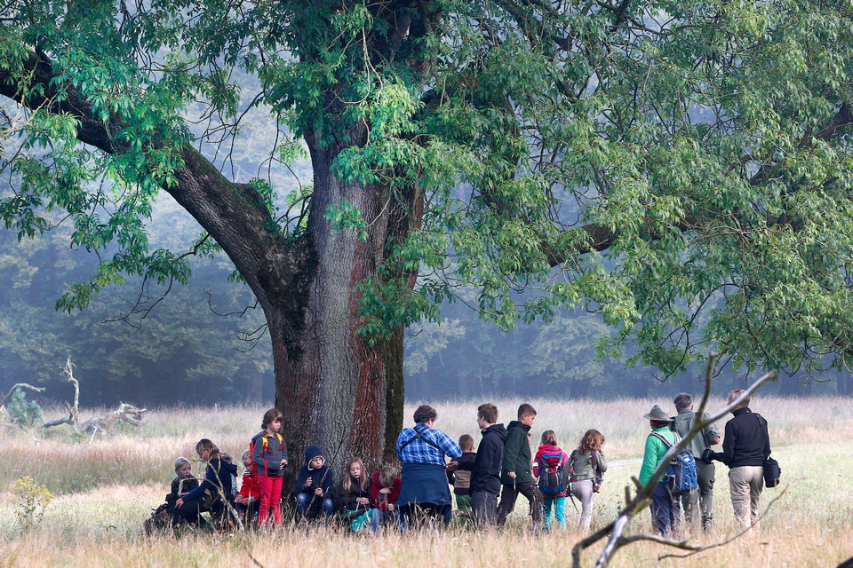 Hoge Veluwe National Park (1)