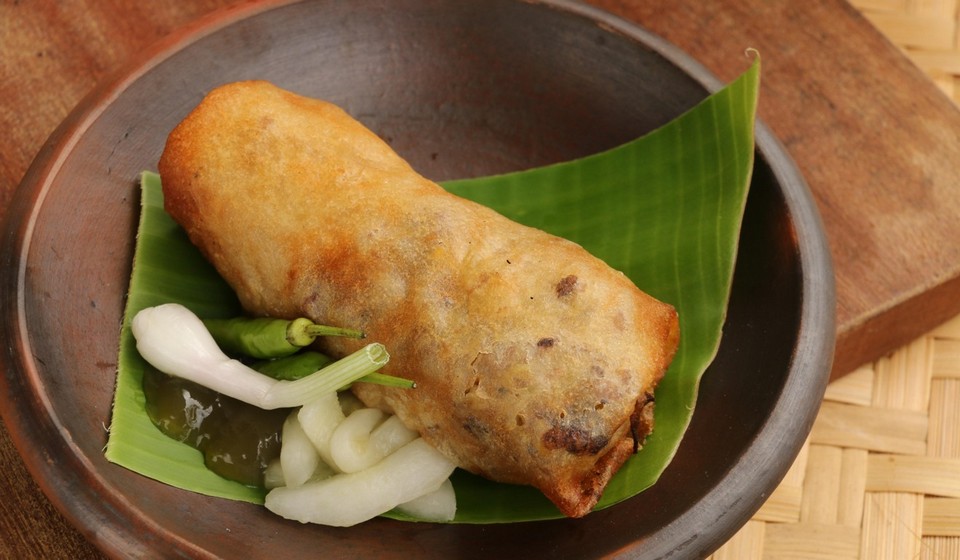 Vietnamese Loempia (1)