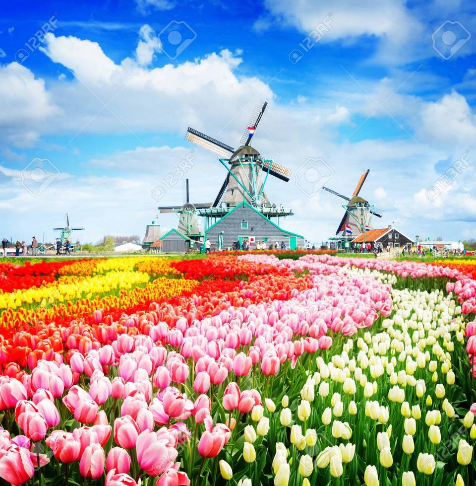 Windmill village – Zaanse Schans (1)