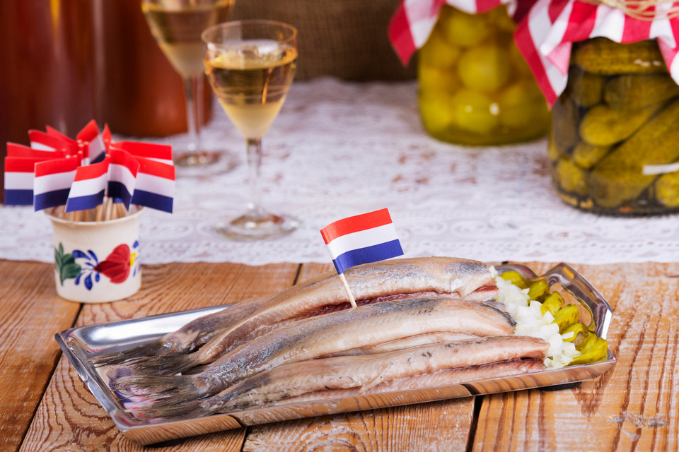dutch-herring
