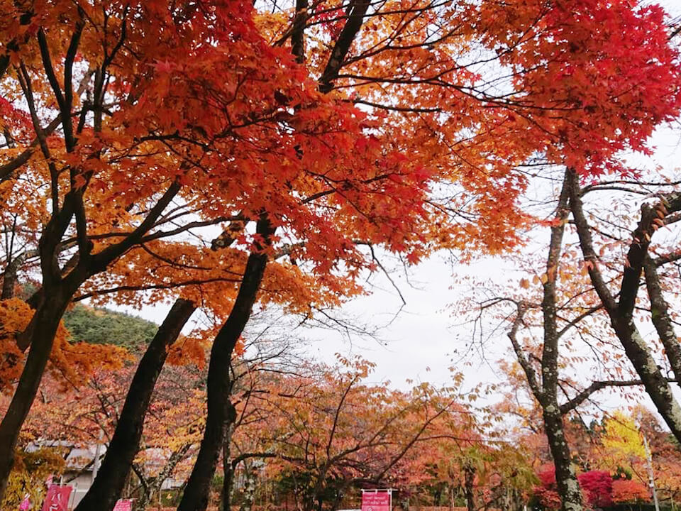 Kitakami onsen