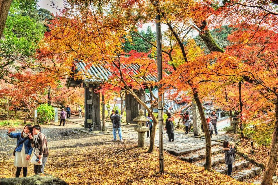 fukuoka travel blog,falls,autumn (5)
