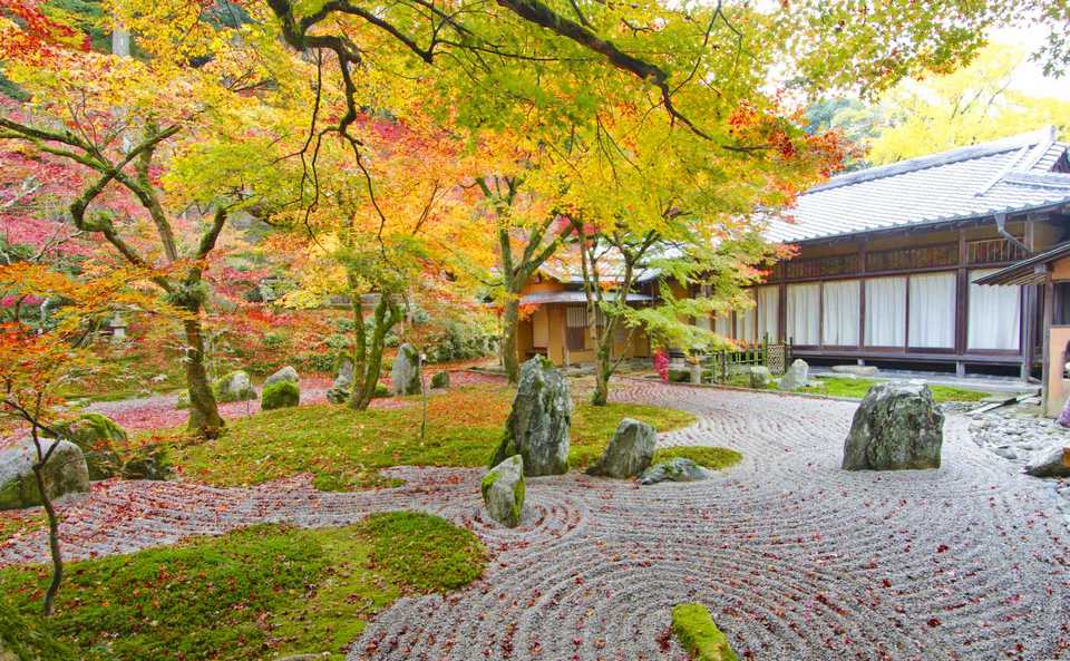 fukuoka travel blog,falls,autumn (5)