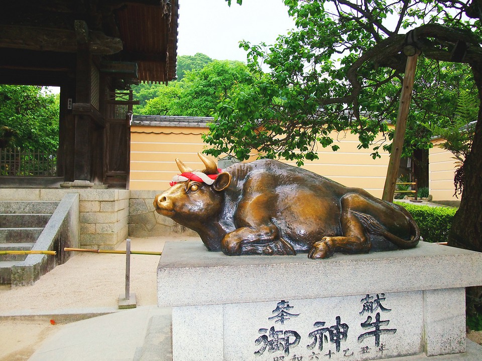 Dazaifu Tenmangu Shrine,fukuoka travel blog,fukuoka blog (14)