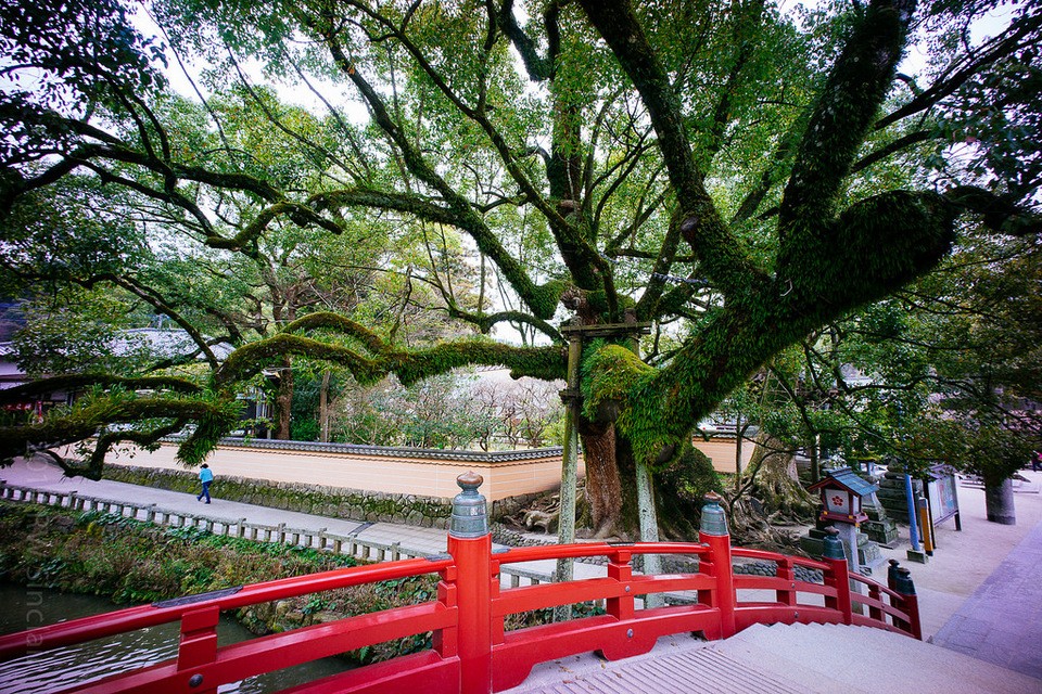 Dazaifu Tenmangu Shrine,fukuoka travel blog,fukuoka blog (5)