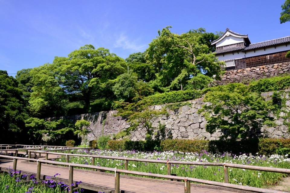 Fukuoka Castle Ruins,fukuoka travel blog (1)