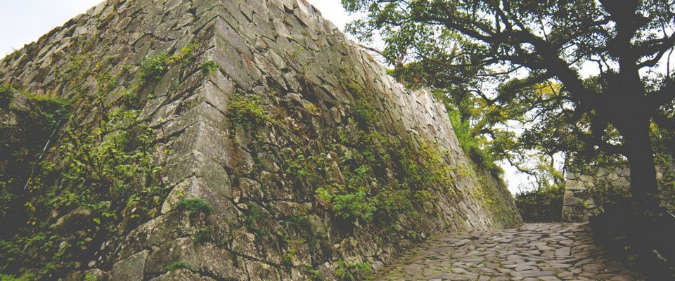 Fukuoka Castle Ruins,fukuoka travel blog (10)