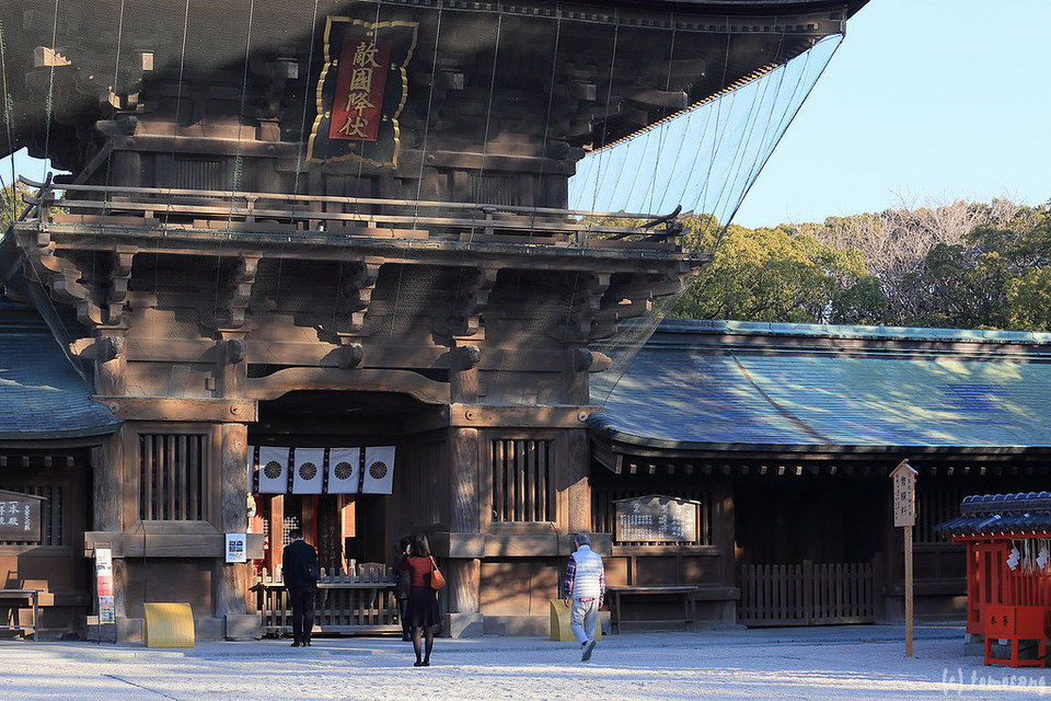 Hakozaki Shrine,fukuoka travel blog (3)