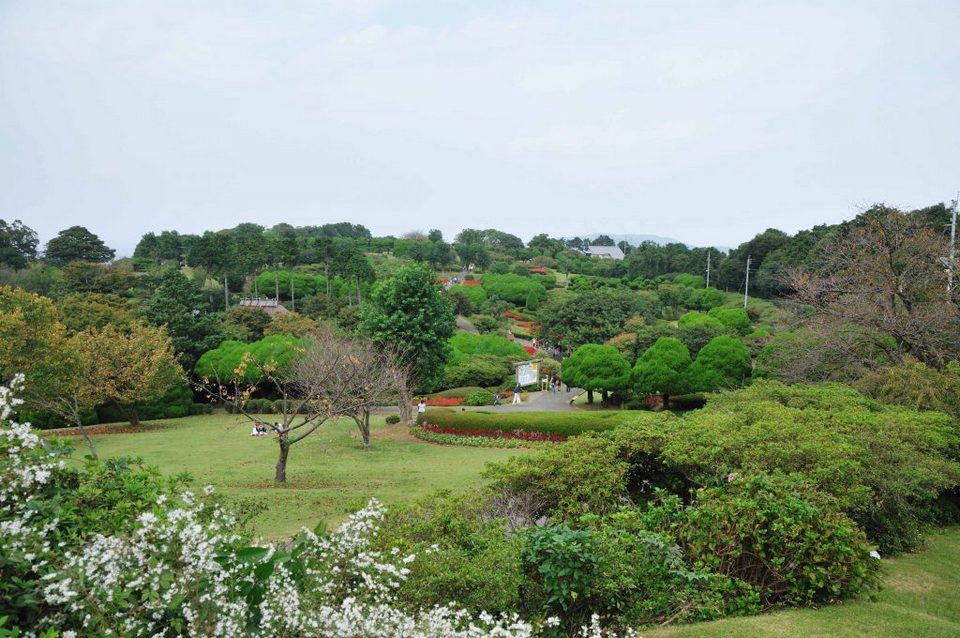 Nokonoshima Island Park (1)