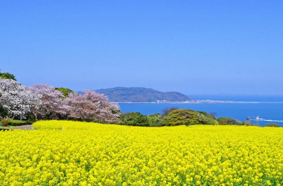 Nokonoshima Island Park (2)