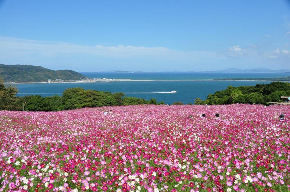 Nokonoshima Island Park (3)