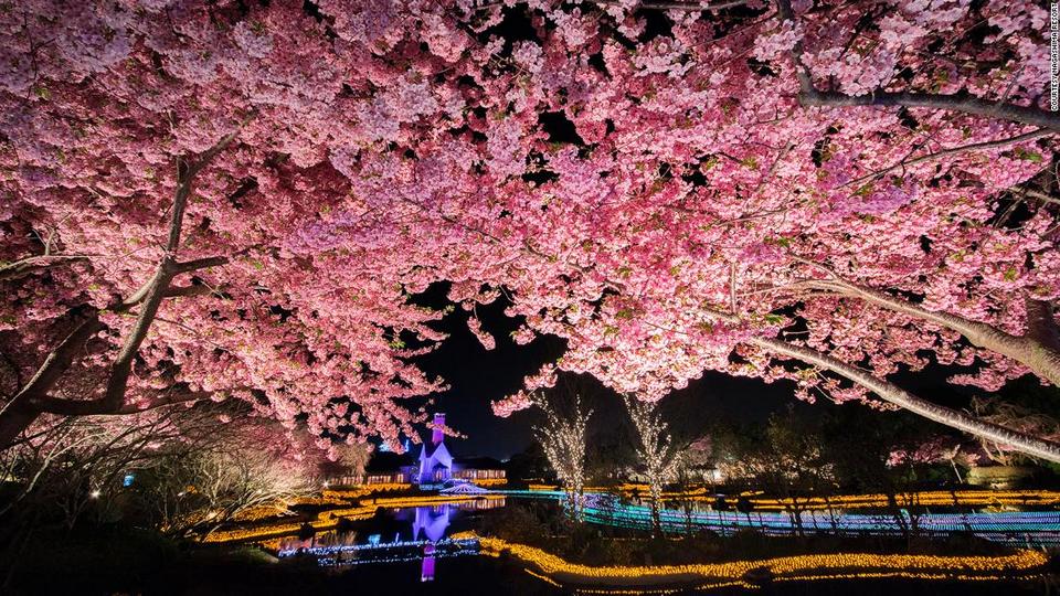 Nabana no Sato at night