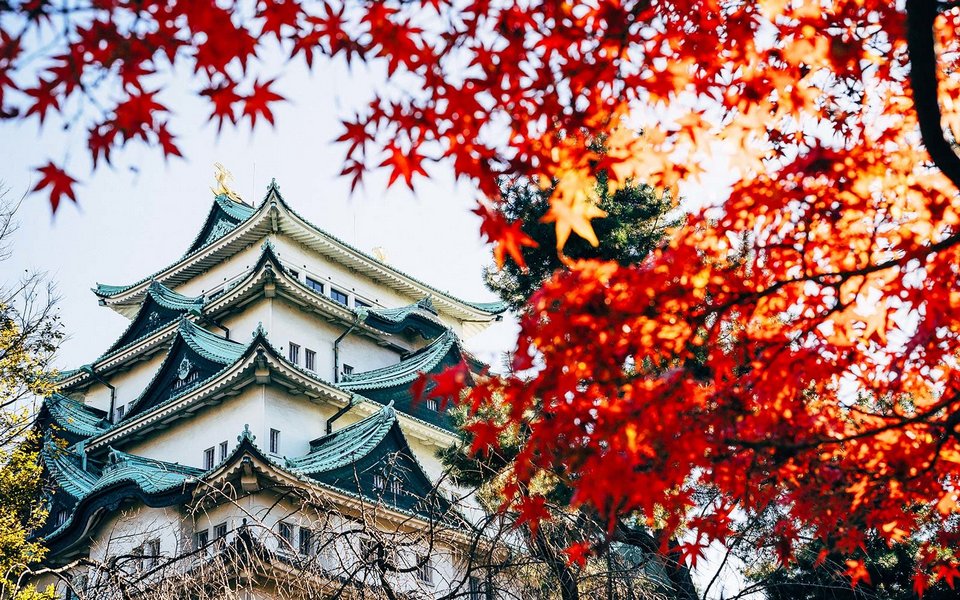 nagoya-castle-autumn-japan-NAGOYA0717