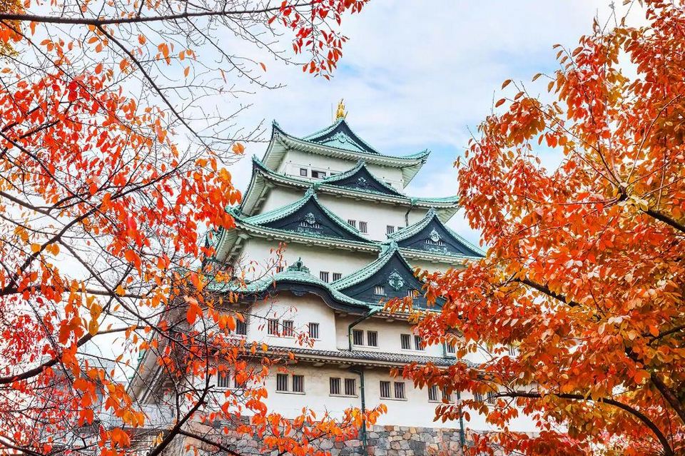nagoya castle in fall,nagoya travel blog