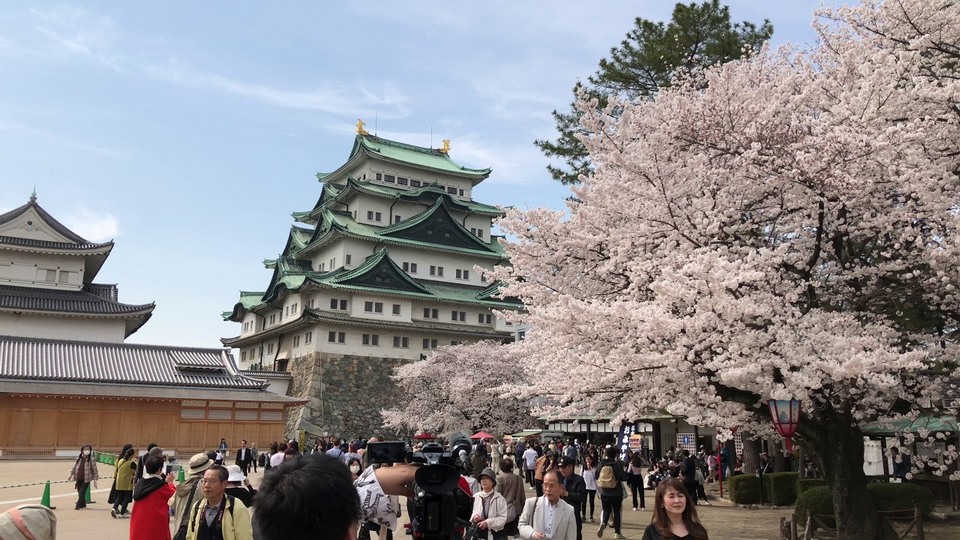 nagoya castle in spring.1