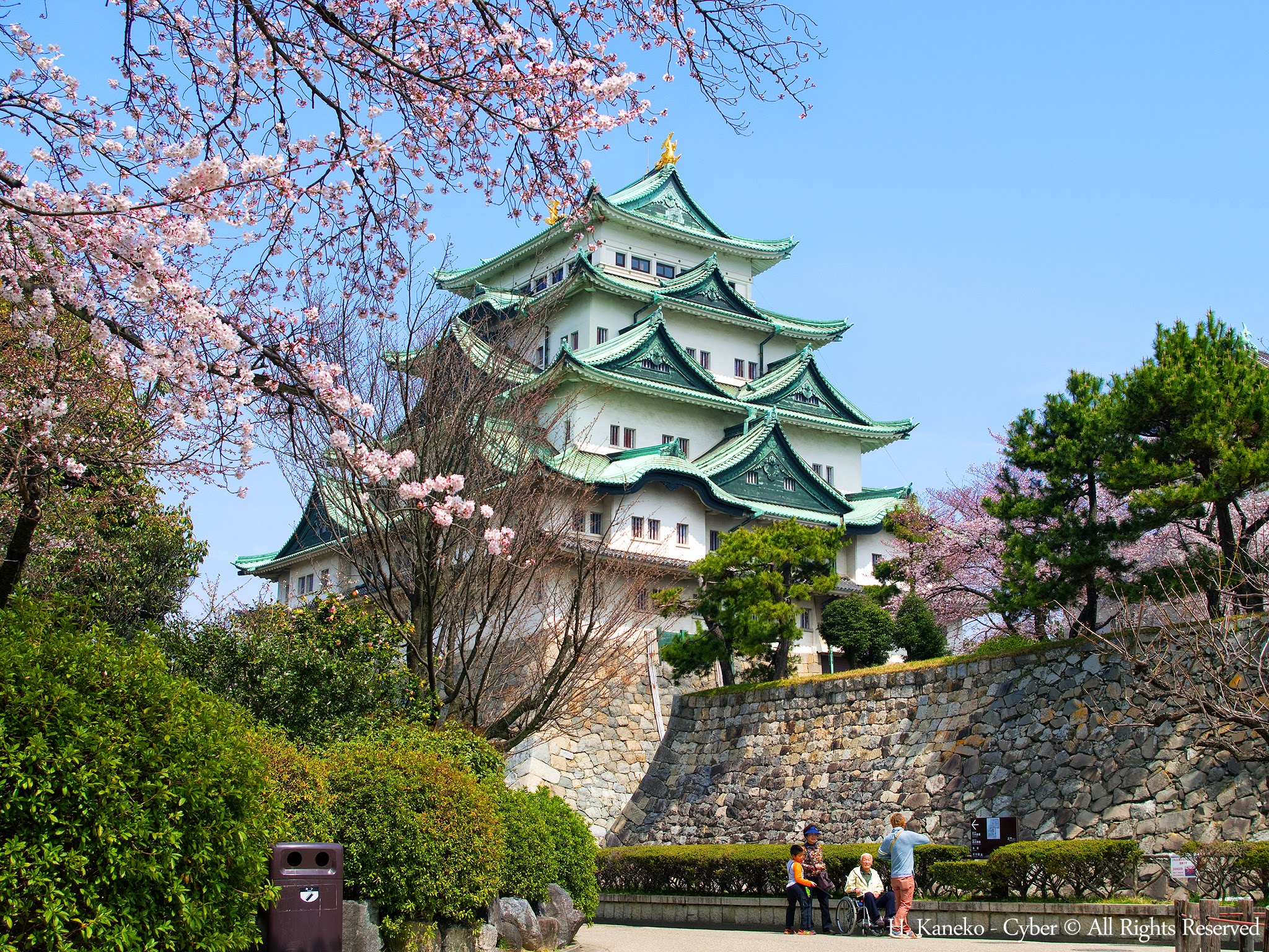 nagoya_Castle_with_Cherry_blossoms