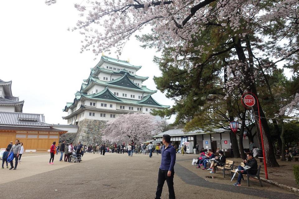 nagoya castle,nagoya travel blog,nagoya travel guide (1)