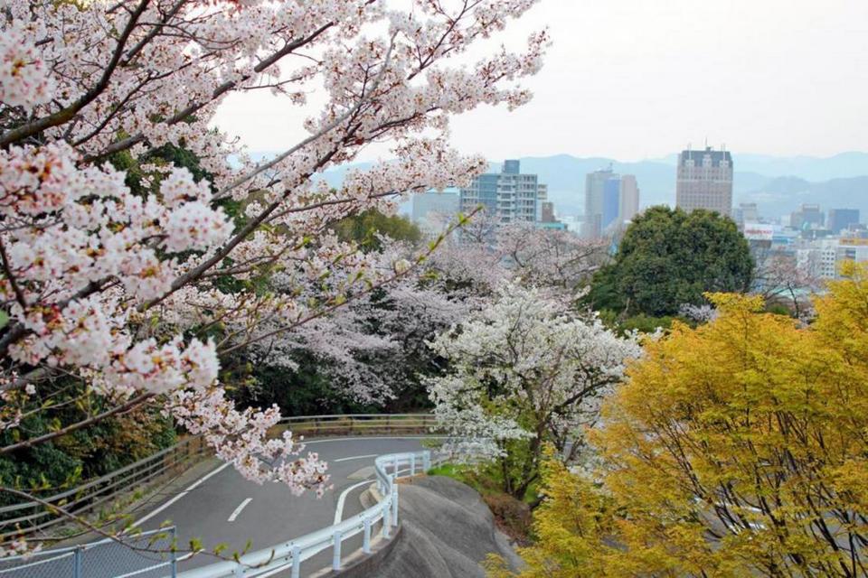 Hijiyama Park,hiroshima travel blog (1)