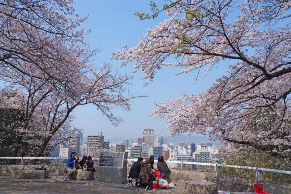 Hijiyama Park,hiroshima travel blog (1)