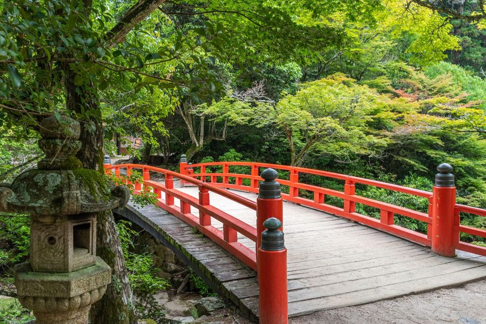 Miyajima Island,hiroshima travel blog (1)
