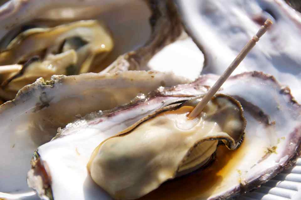 Oysters hiroshima travel blog (1)