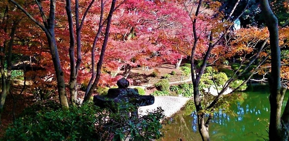 Shukkeien Garden hiroshima travel blog,hiroshima travel guide (5)