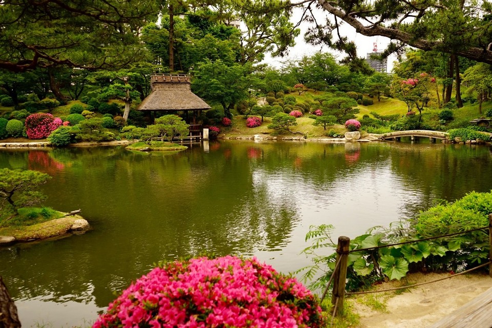 Shukkeien Garden hiroshima travel blog,hiroshima travel guide (6)