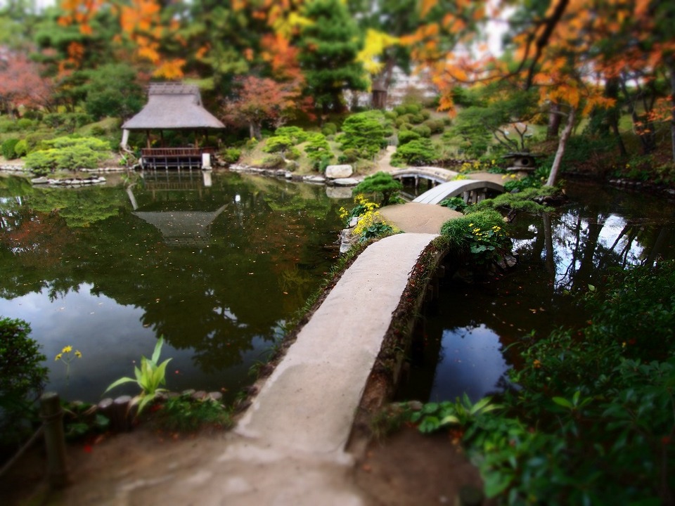 Shukkeien Garden hiroshima travel blog,hiroshima travel guide (8)