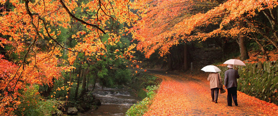 autumn_leaves_02
