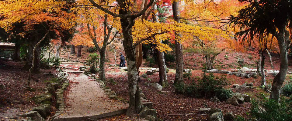 fall, autumn,hiroshima travel blog (1)
