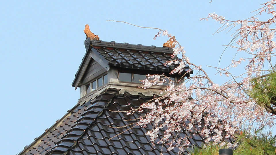 Myoryuji (Ninja Temple),kanazawa travel blog (1)