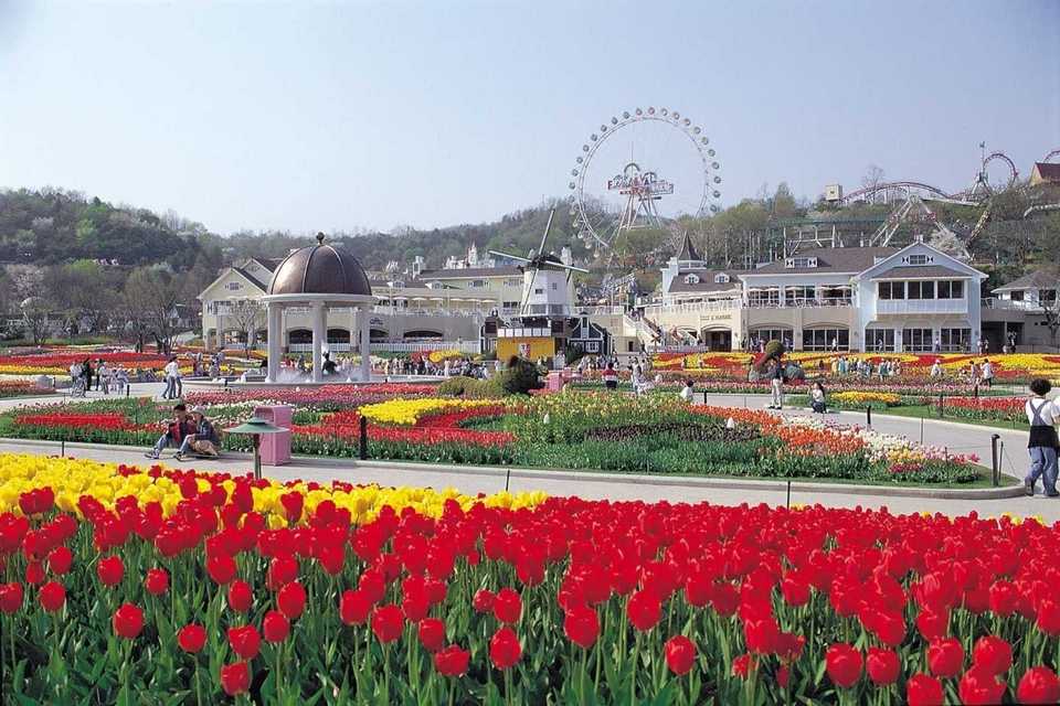 Everland, Korea