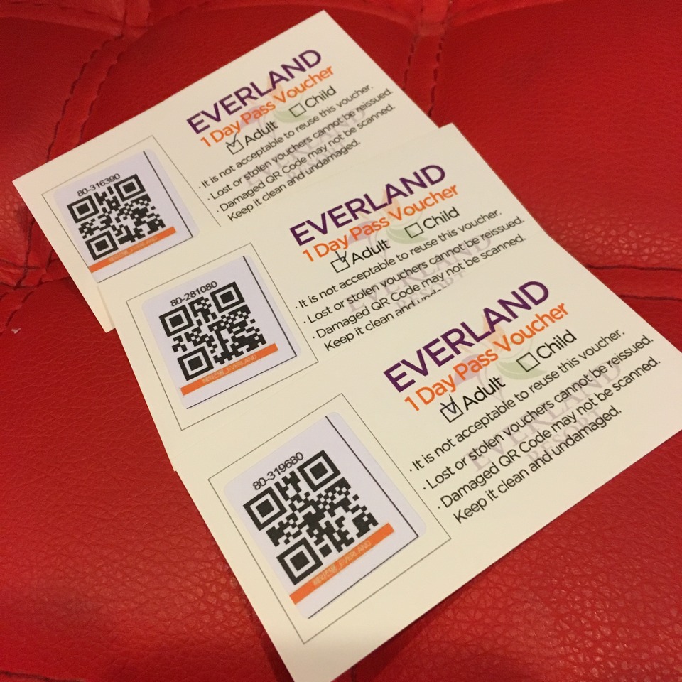 everland 1 day pass voucher