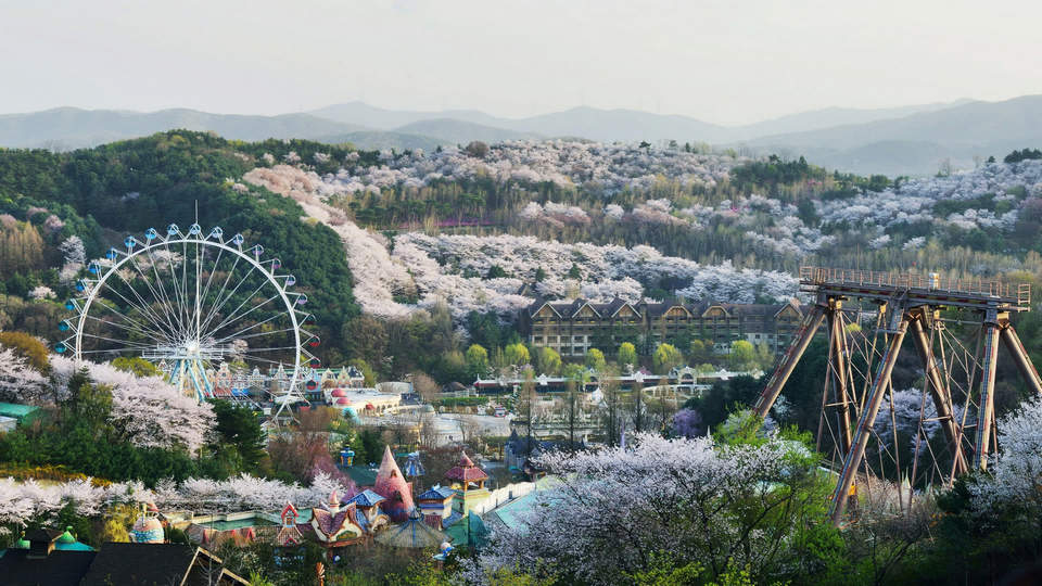 everland travel blog,everland seoul blog,everland korea blog (3)