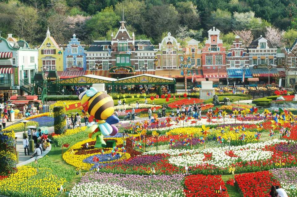 everland-tulip