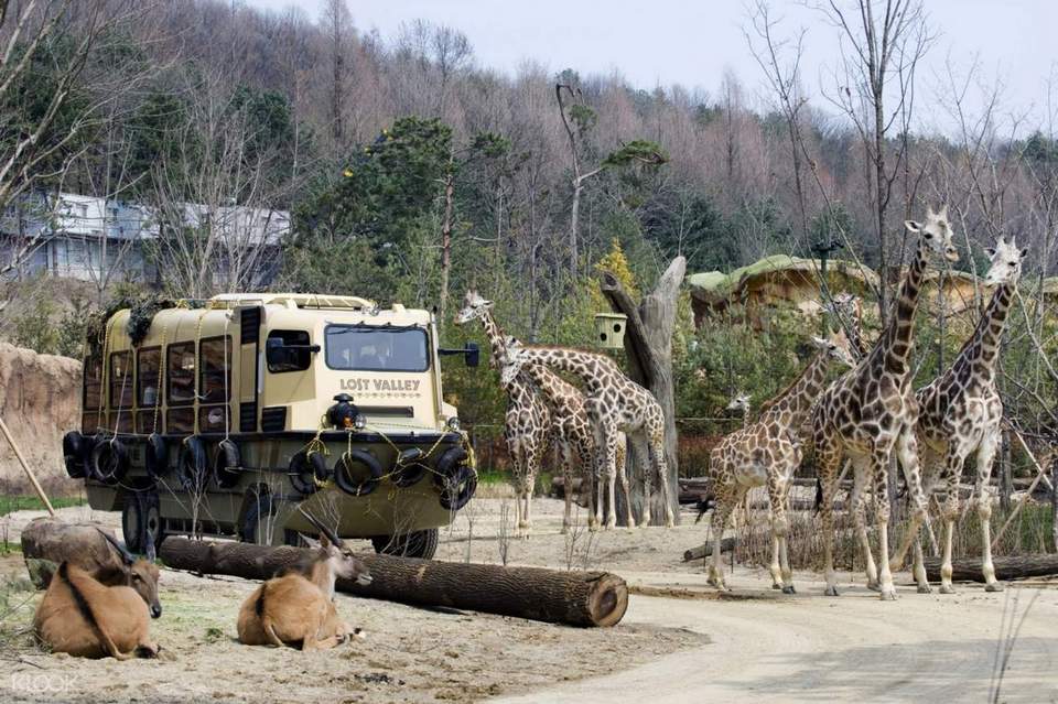everlnad zootopia everland korea blog (2)