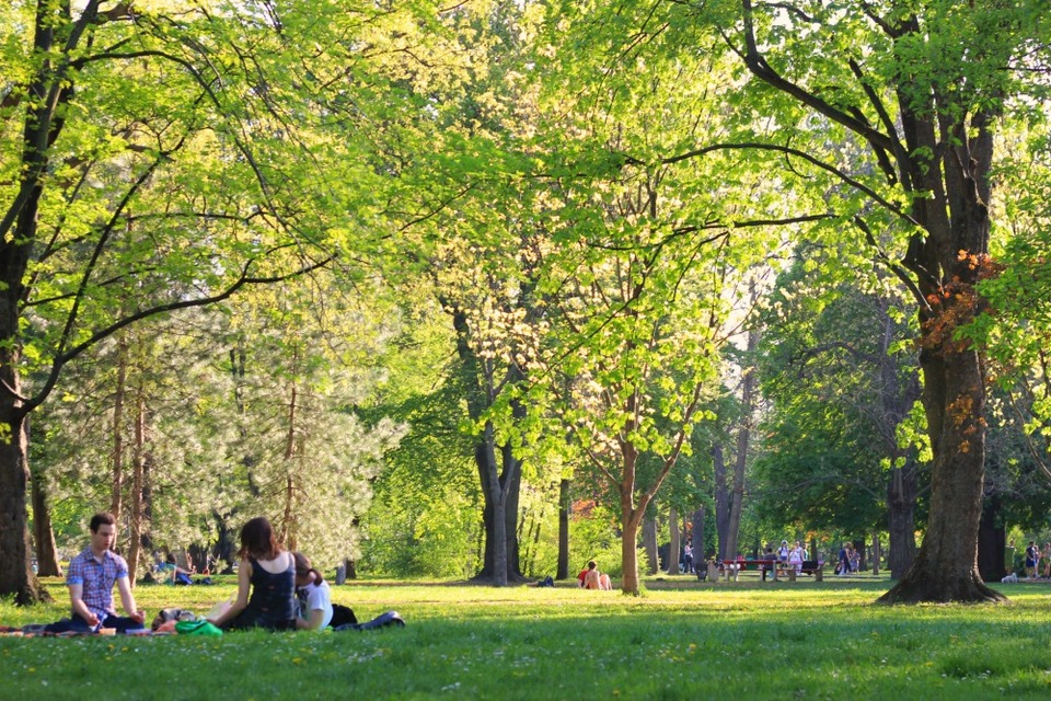 Margaret Island,budapest travel blog (1)