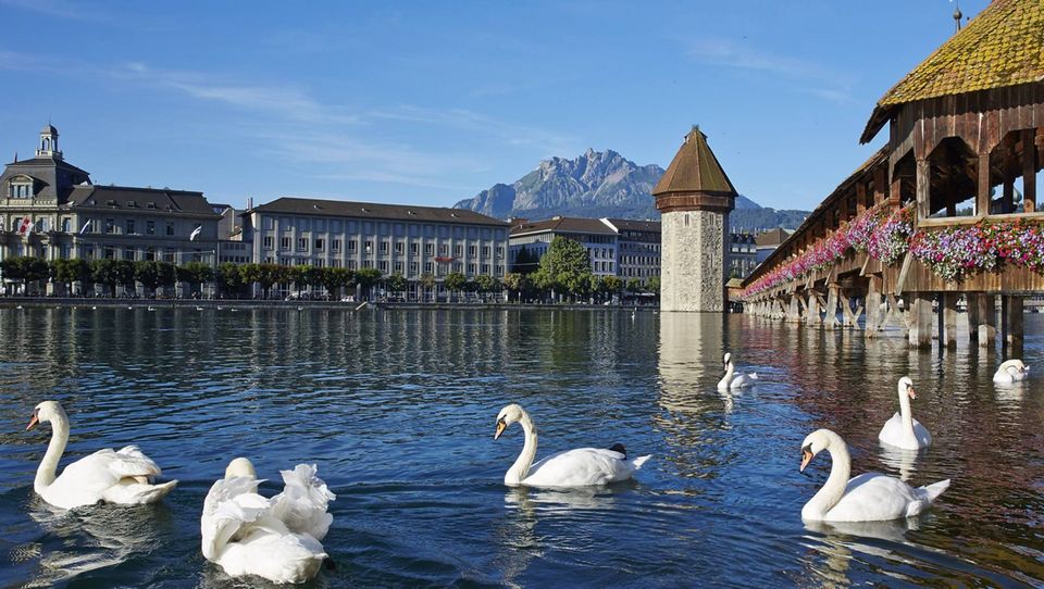 lucerne travel blog,lucerne blog,lucerne travel guide,lucerne city guide (5)