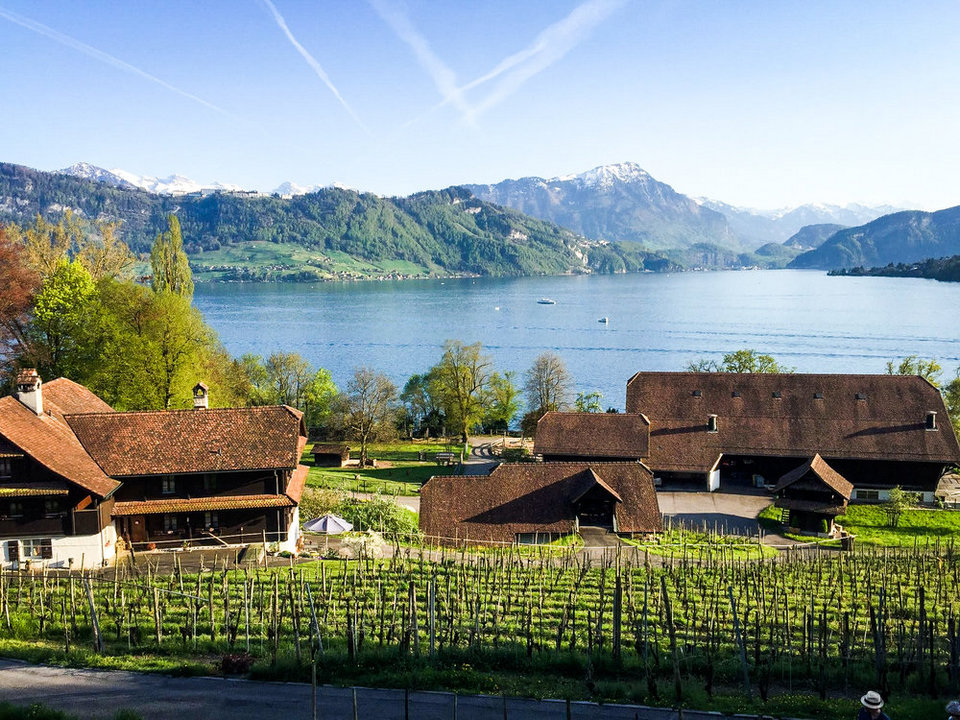 meggenhorn-castle-vineyard-lake-lucerne-switzerland