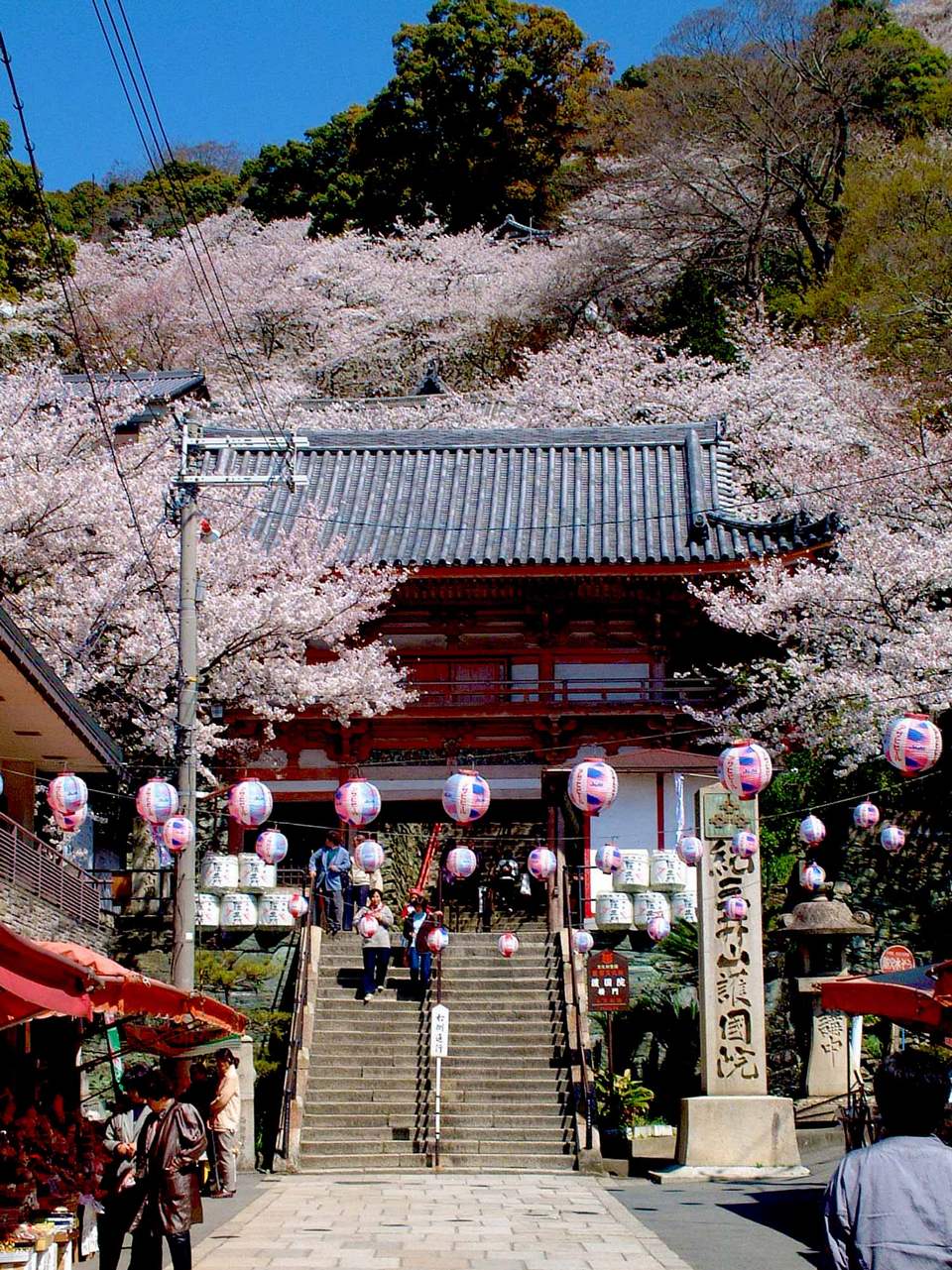Kimii-dera Temple,wakayama travel guide,wakayama travel blog (1)