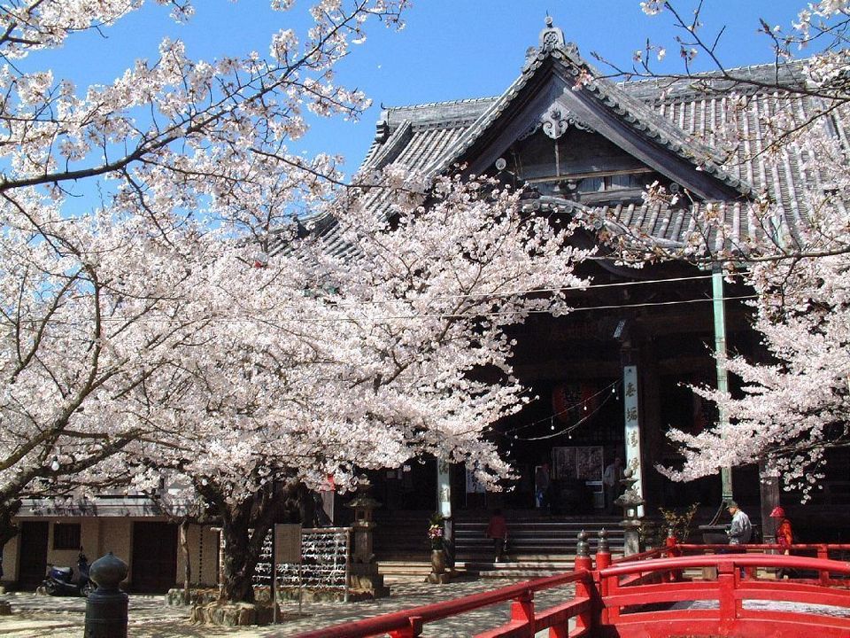Kimii-dera Temple,wakayama travel guide,wakayama travel blog (1)