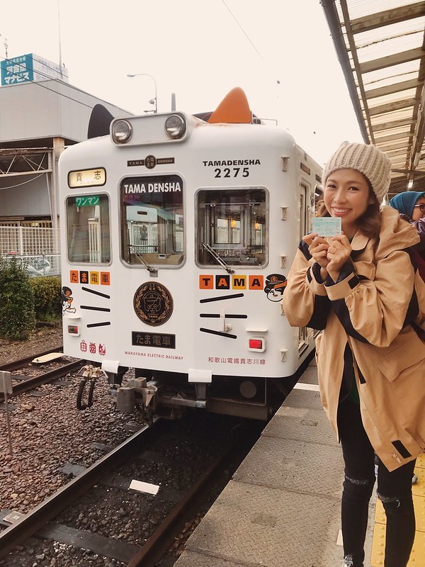 Kishigawa_Line_Tama_themed_train
