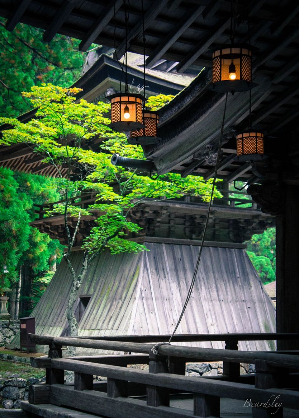 Koyasan Danjo Garan (Sacred Temple Complex),wakayama travel blog (1)