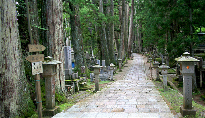 Koyasan Danjo Garan (Sacred Temple Complex),wakayama travel blog (1)