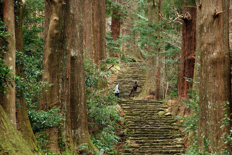 Kumano Kodo Daimon-zaka Walking (1)