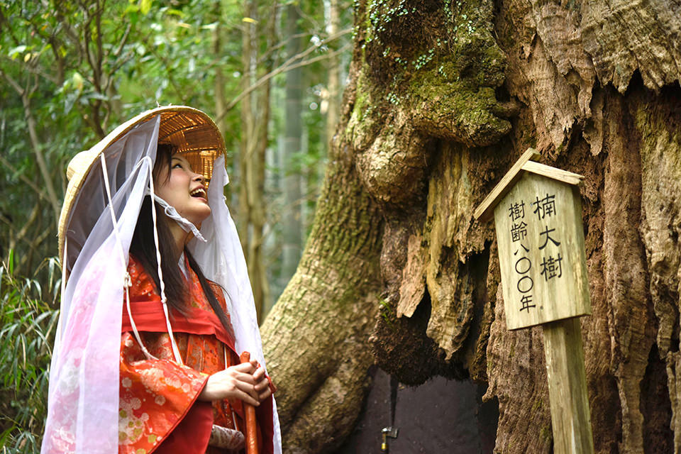 wakayama travel blog,wakayama travel guide,wakayama blog (4)