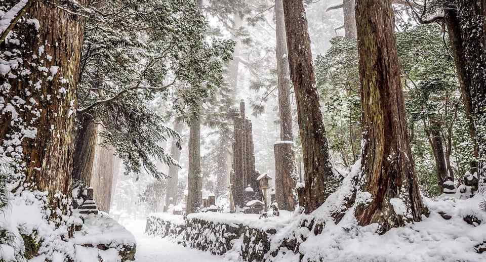 kumano-kodo-walk-winter-header